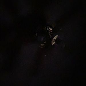 Meet your Posher, Tracey